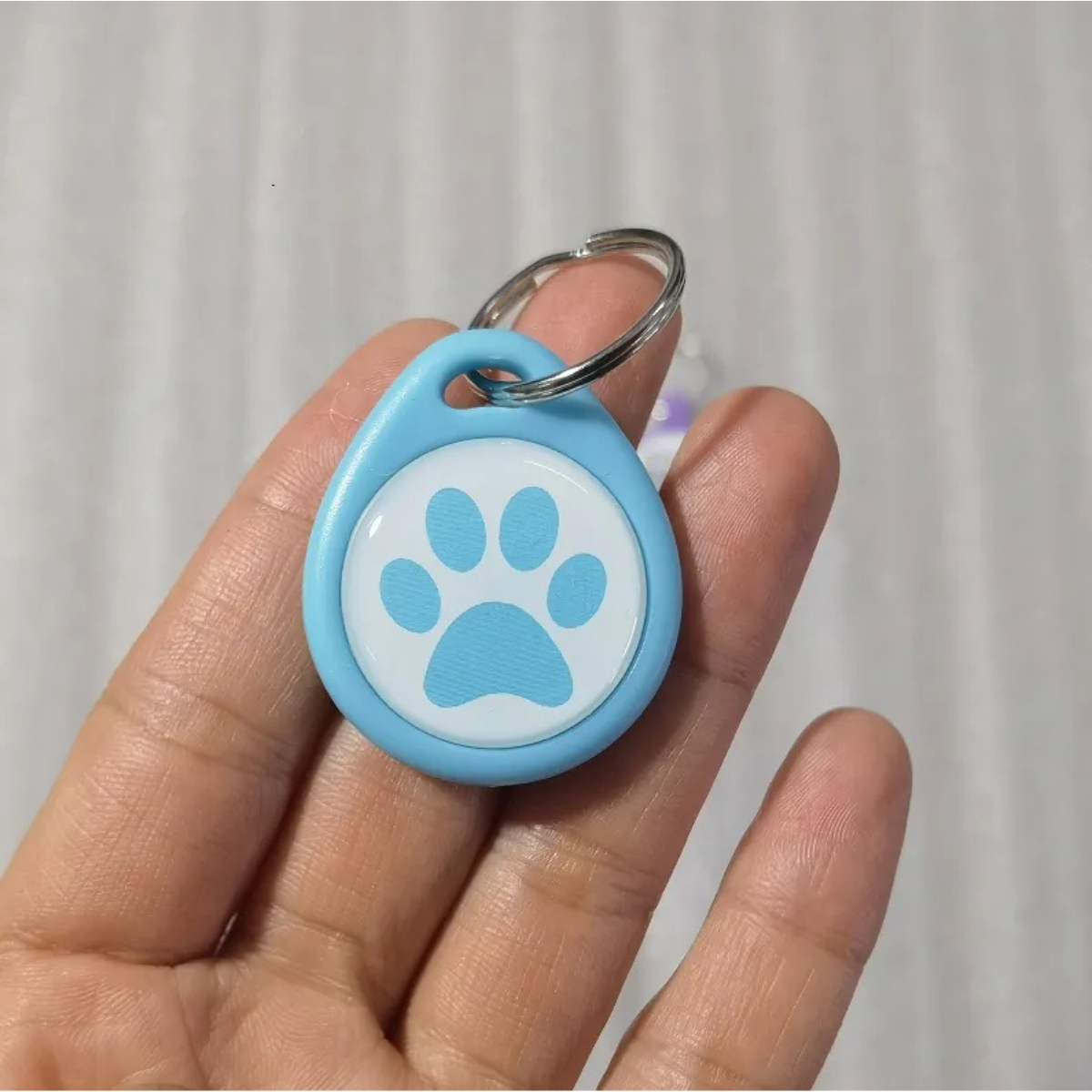 Placa Identificación IDTag para Mascotas