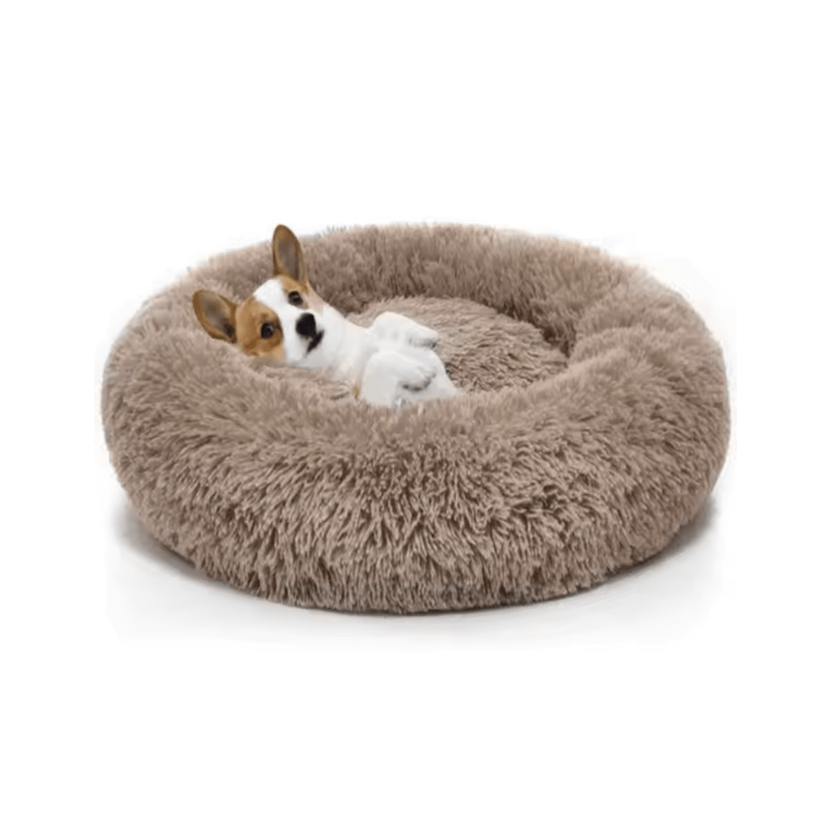 Camas Para Mascotas 60cm Perros Gatos Cama Lavable