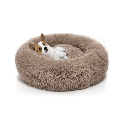 Camas Para Mascotas 60cm Perros Gatos Cama Lavable