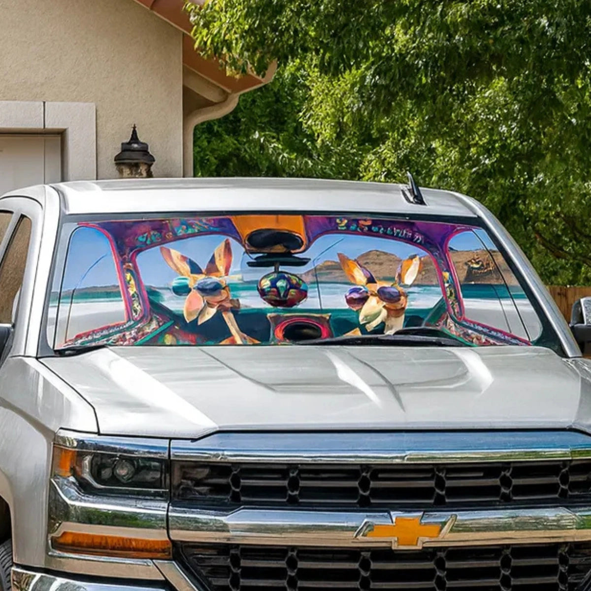 Parasol para Autos 150×70 cm – Modelos Divertidos y Originales