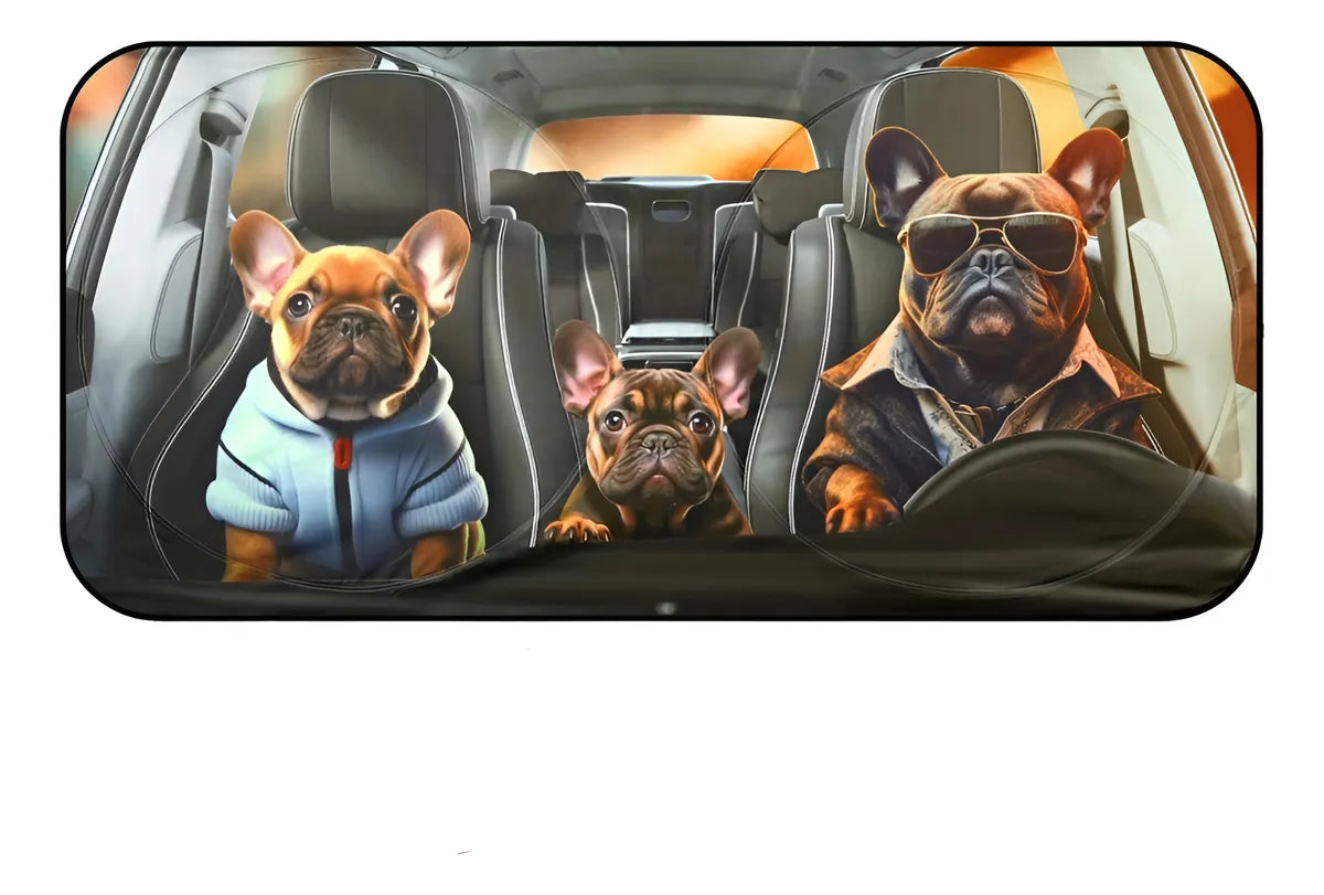 Parasol para Autos 150×70 cm – Modelos Divertidos y Originales