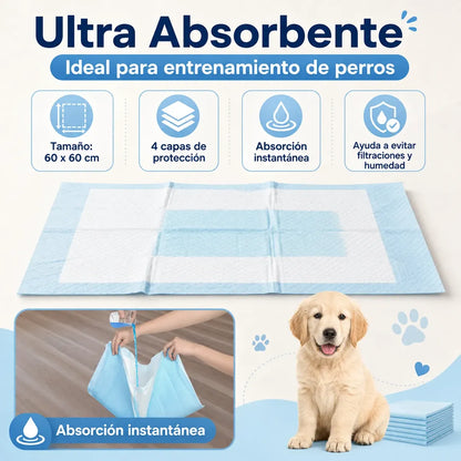 Pack 40 Pañales Sabanillas Entrenamiento Mascotas Perros Gatos 60x60cm (Talla L) Absorbentes