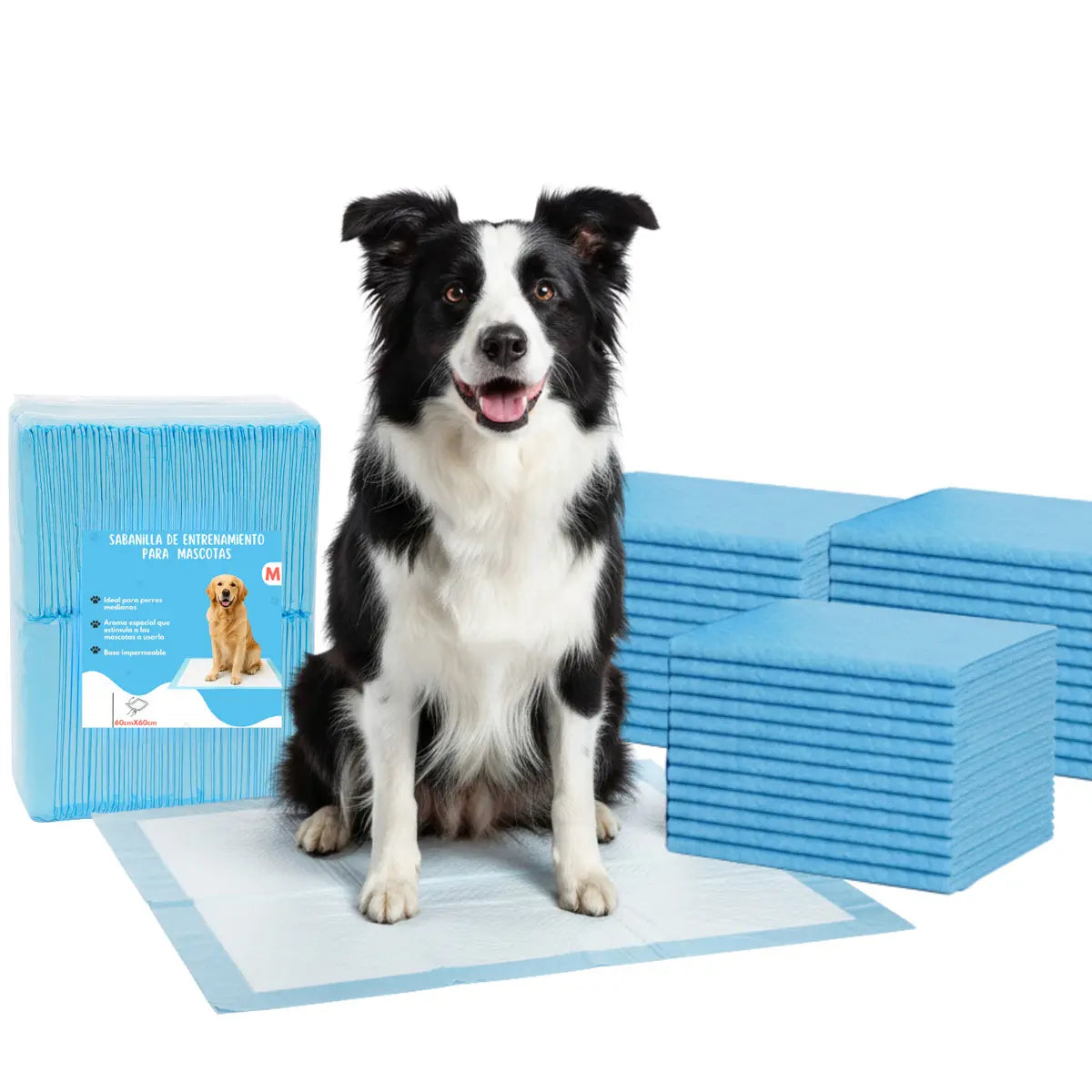Pack 40 Pañales Sabanillas Entrenamiento Mascotas Perros Gatos 60x60cm (Talla L) Absorbentes