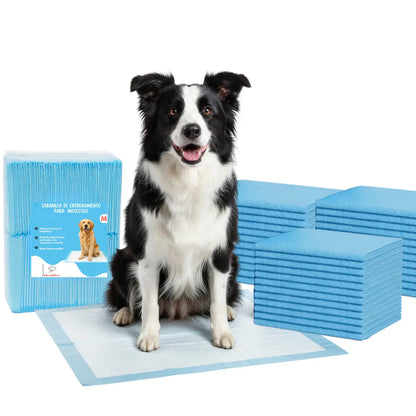 Pack 40 Pañales Sabanillas Entrenamiento Mascotas Perros Gatos 60x60cm (Talla L) Absorbentes