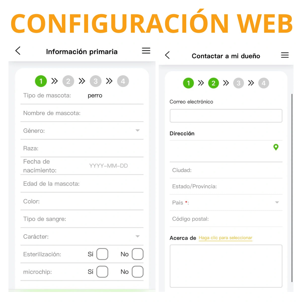 Placa Identificación IDTag para Mascotas